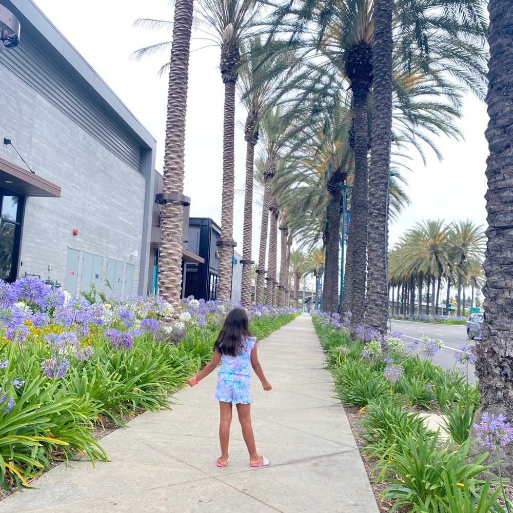 Meet your Posher, Iris